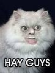 Nickoloi's profile picture